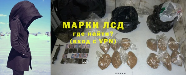 прущие грибы Верея