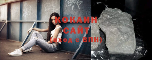прущие грибы Верея