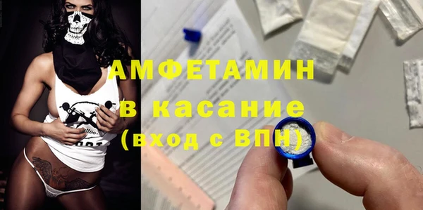прущие грибы Верея