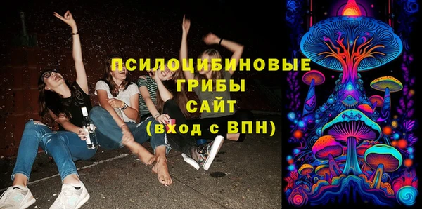 прущие грибы Верея