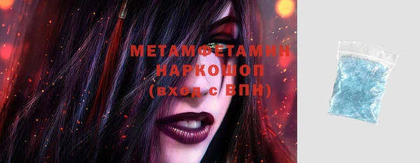 прущие грибы Верея