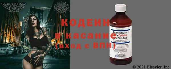 прущие грибы Верея