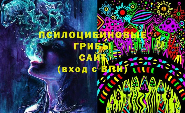 ПСИЛОЦИБИНОВЫЕ ГРИБЫ Верхнеуральск