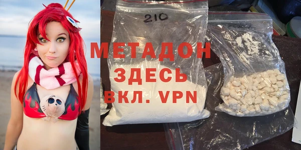 прущие грибы Верея