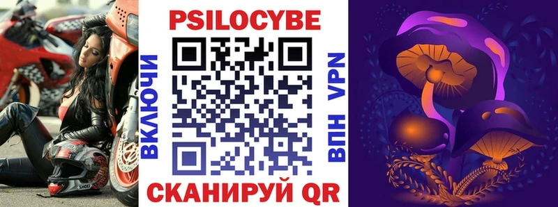 Галлюциногенные грибы Psilocybe  Ленинградская 